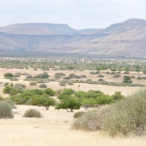 Damaraland Namibia