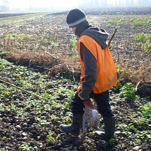 Pheasant Hunting in France