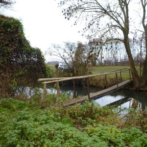 Hunting in France