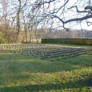 Bird Hunting in France