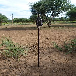 Trail Camera Namibia