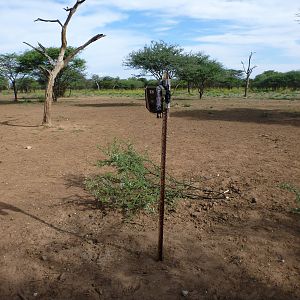 Trail Camera Namibia