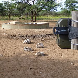 Trail Camera Namibia