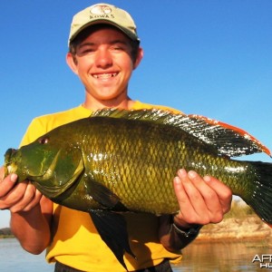 Fishing in Namibia - Caprivi