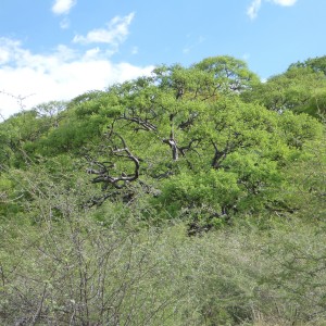 Namibia