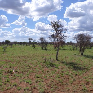 Namibia