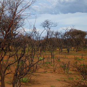 Namibia