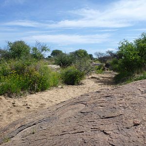 Riverbed Namibia