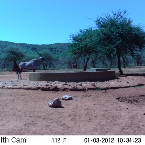 Trail Camera Namibia