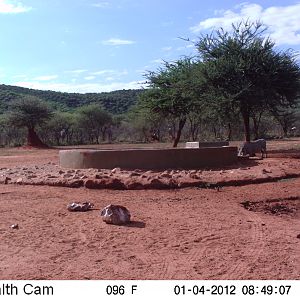 Trail Camera Namibia