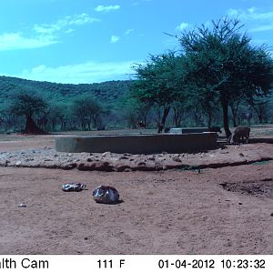 Trail Camera Namibia