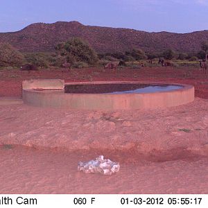 Trail Camera Namibia