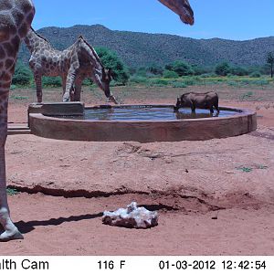 Trail Camera Namibia