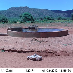 Trail Camera Namibia