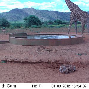 Trail Camera Namibia