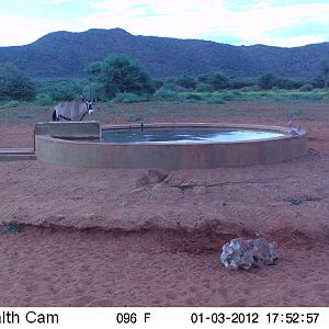 Trail Camera Namibia