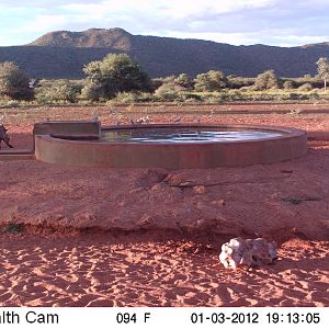 Trail Camera Namibia