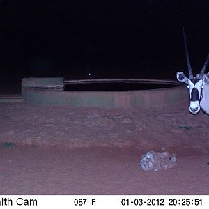 Trail Camera Namibia