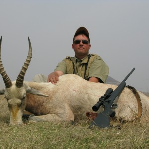 White blesbok