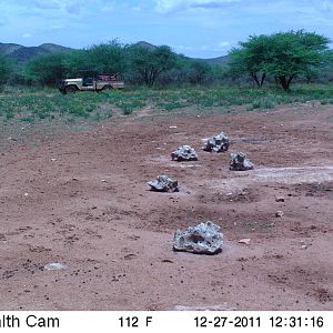 Trail Camera Namibia