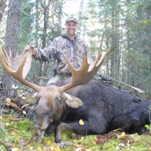 Bull Moose