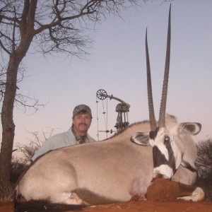 Gemsbok with a bow. Limcroma safaris 2009