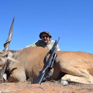 42 inch Eland bull