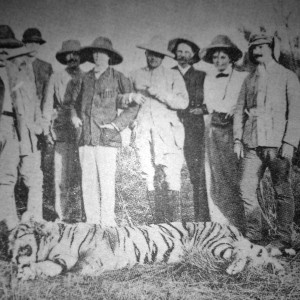 Rare Tiger hunting photographs from 1895 to 1907