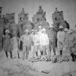 Rare Tiger hunting photographs from 1895 to 1907