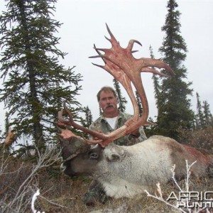 Central Canada Barren Ground Caribou