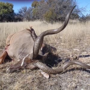 My young Kudu. Next time it will be a mature one!