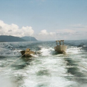 Alaska Black and Brown Bear Handgun Hunt