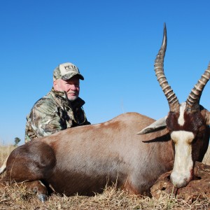 Motsomi Safaris - Blesbuck