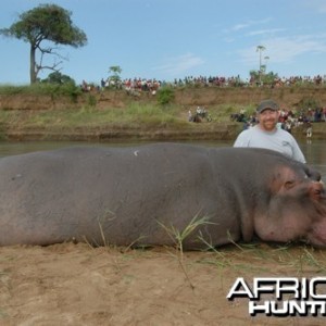 Motsomi Safaris - Hippo