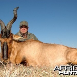 Motsomi Safaris - Red Hartebeest