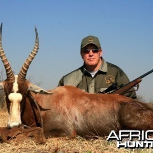 Motsomi Safaris - Blesbuck