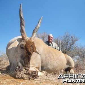 Motsomi Safaris - Eland