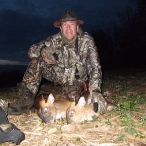 Hunting Muntjac at Leicestershire Castle in England