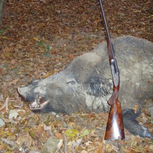 my 9.3x74r jefferys double rifle and a hungarian boar