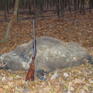 my 9.3x74r jefferys double rifle and a hungarian boar