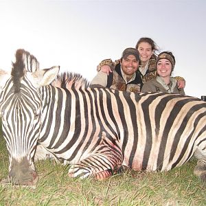 Burchell Zebra hunted with Andrew Harvey Safaris