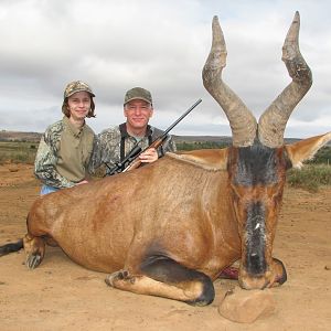 Red Hartebeest hunted with Andrew Harvey Safaris