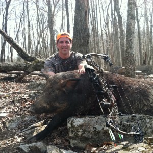 300 lb Hog Tenessee