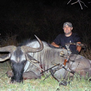 Blue Wildebeest bowhunted at Ozondjahe Hunting Safaris Namibia