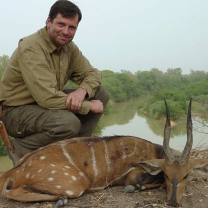 Harnessed Bushbuck hunted in Benin with Club Faune