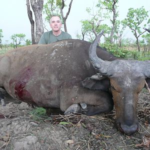 West African Savannah Buffalo hunted in Benin with Club Faune