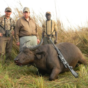 West African Savannah Buffalo hunted in Benin with Club Faune