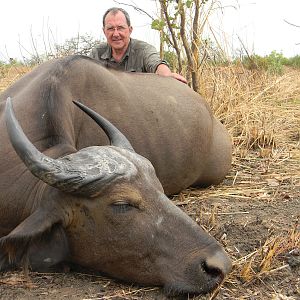 West African Savannah Buffalo hunted in Benin with Club Faune