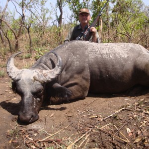 West African Savannah Buffalo hunted in Benin with Club Faune