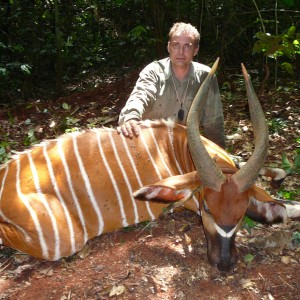 Bongo hunted in Cameroon with Club Faune